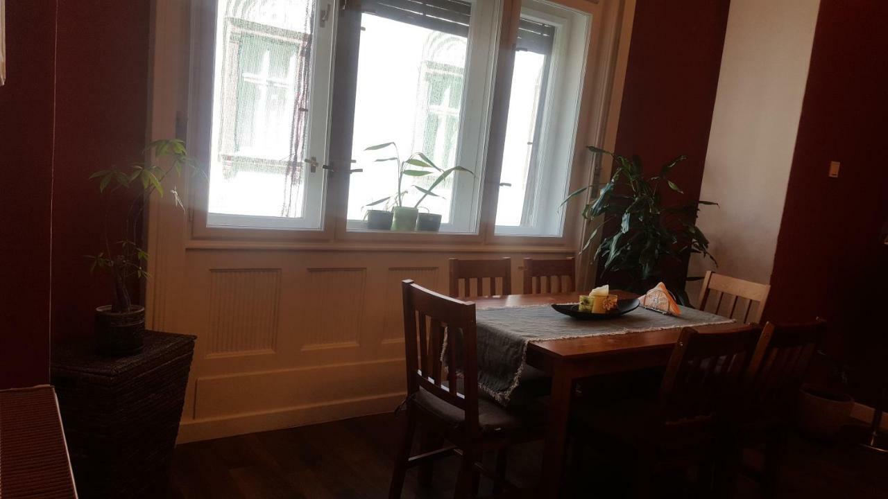 Apartment Micsa Steiner Palace Flat Timişoara